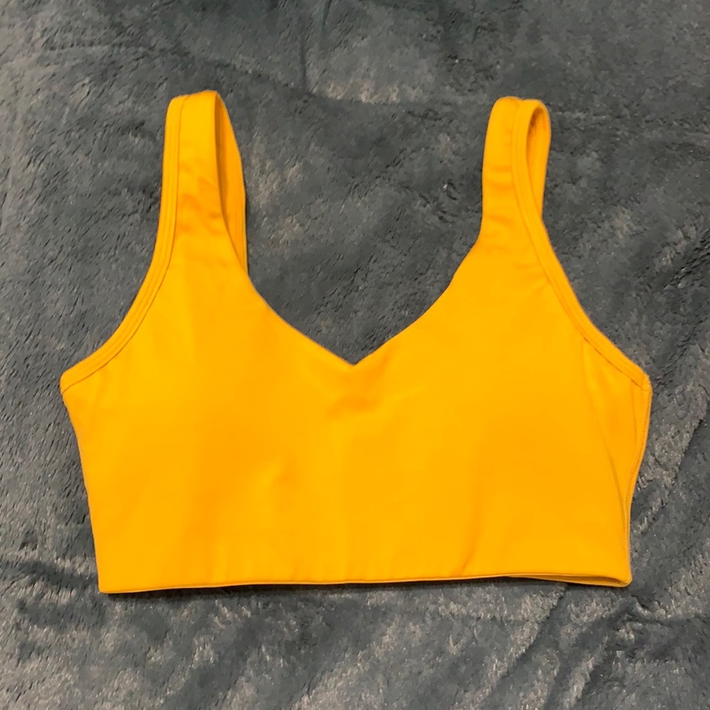 Paragon sports bra
